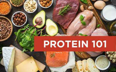 Protein 101