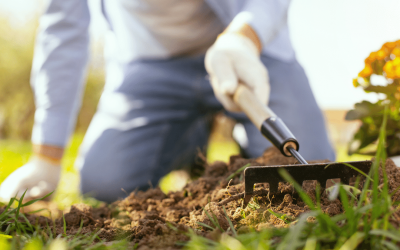 How to Start a Garden and Why You Should