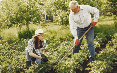 Is Gardening Considered Exercise?